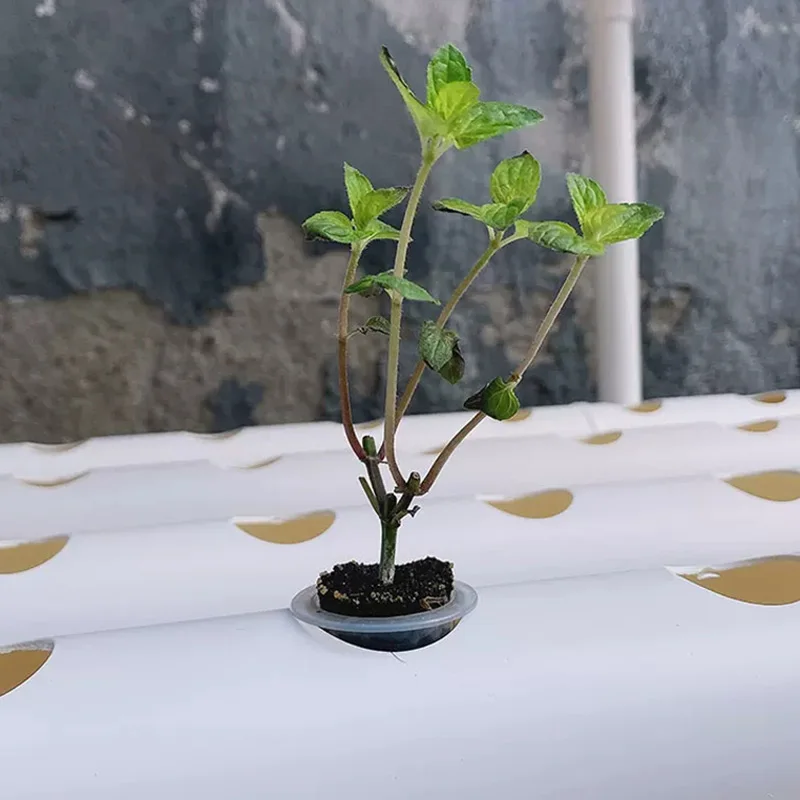 Hydroponic Kit - ชุดอุปกรณ์ระบบปลูกพืชไร้ดิน, ระบบไฮโดรโปนิกส์ท่อพีวีซี, สำหรับสวนในบ้าน, อุปกรณ์ทำสวนสมุนไพร, ใช้พลังงานแสงอาทิตย์, ระบบหมุนเวียนน้ำแรงดันต่ำ