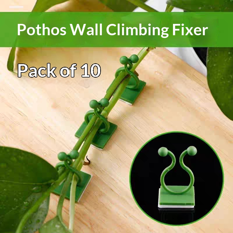 Indoor Herb Garden - คลิปยึดต้นไม้แบบมีกาวในตัวสำหรับติดผนัง ตะขอจัดระเบียบเถาวัลย์และหวายแบบไม่ต้องเจาะ สำหรับตกแต่งบ้านและสวนในร่ม