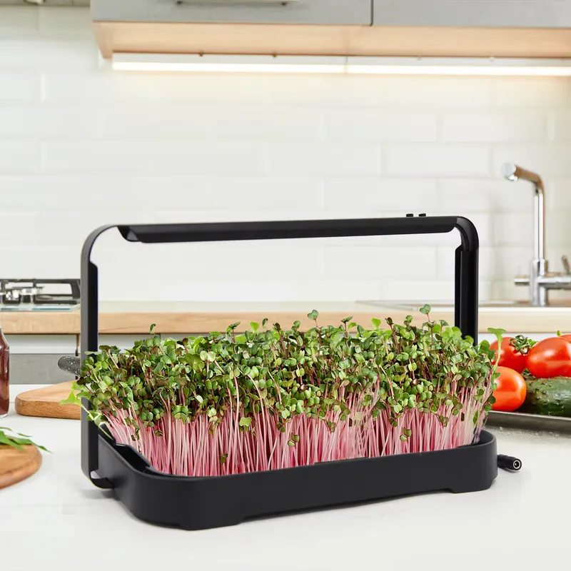 Hydroponic Kit - ถาดปลูกผักไฮโดรโพนิกสำหรับปลูกไมโครกรีนในร่ม ชุดปลูกเมล็ดไมโครกรีน ระบบปลูกผักอัจฉริยะ