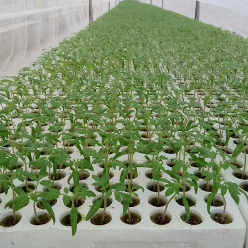 40 ชิ้น คิวบ์ขนแกะสำหรับปลูกพื - Hydroponic Kit บทวิจารณ์และราคา