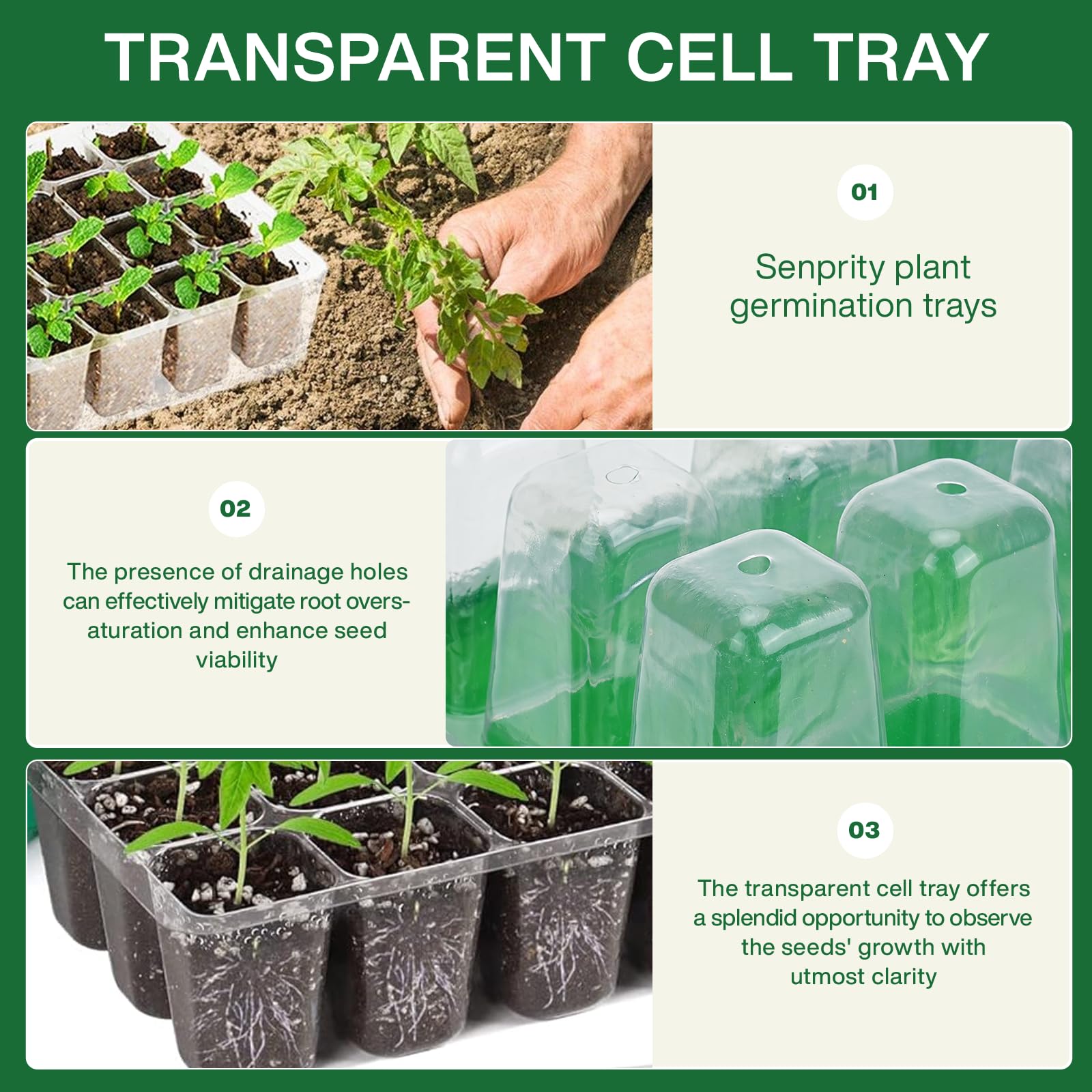 ถาดเพาะเมล็ดพร้อมชุดไฟปลูกต้นไ - Seed Starter Tray บทวิจารณ์และราคา