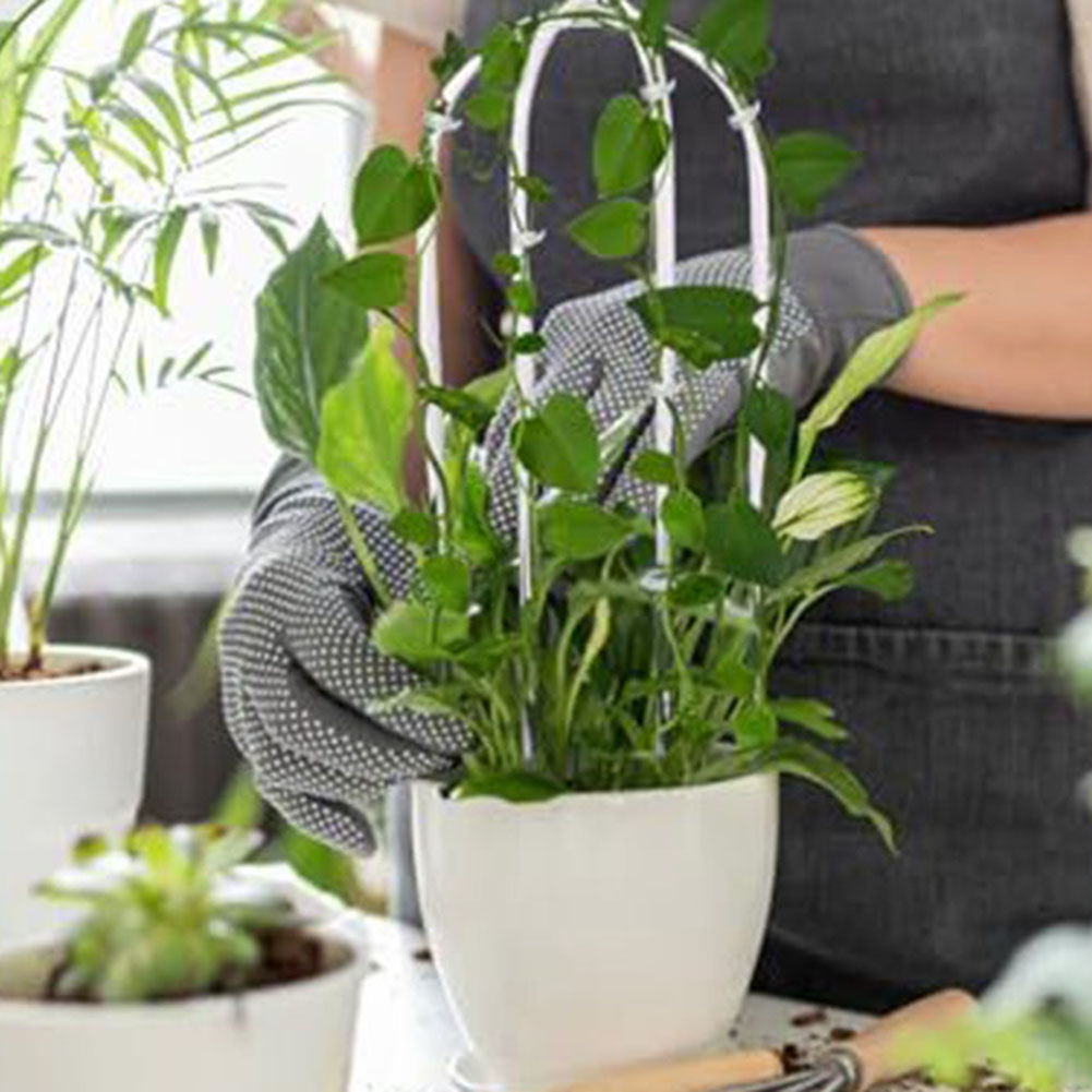 2pcs อะคริลิค U-รูปพืช Rack สไ - Indoor Herb Garden บทวิจารณ์และราคา