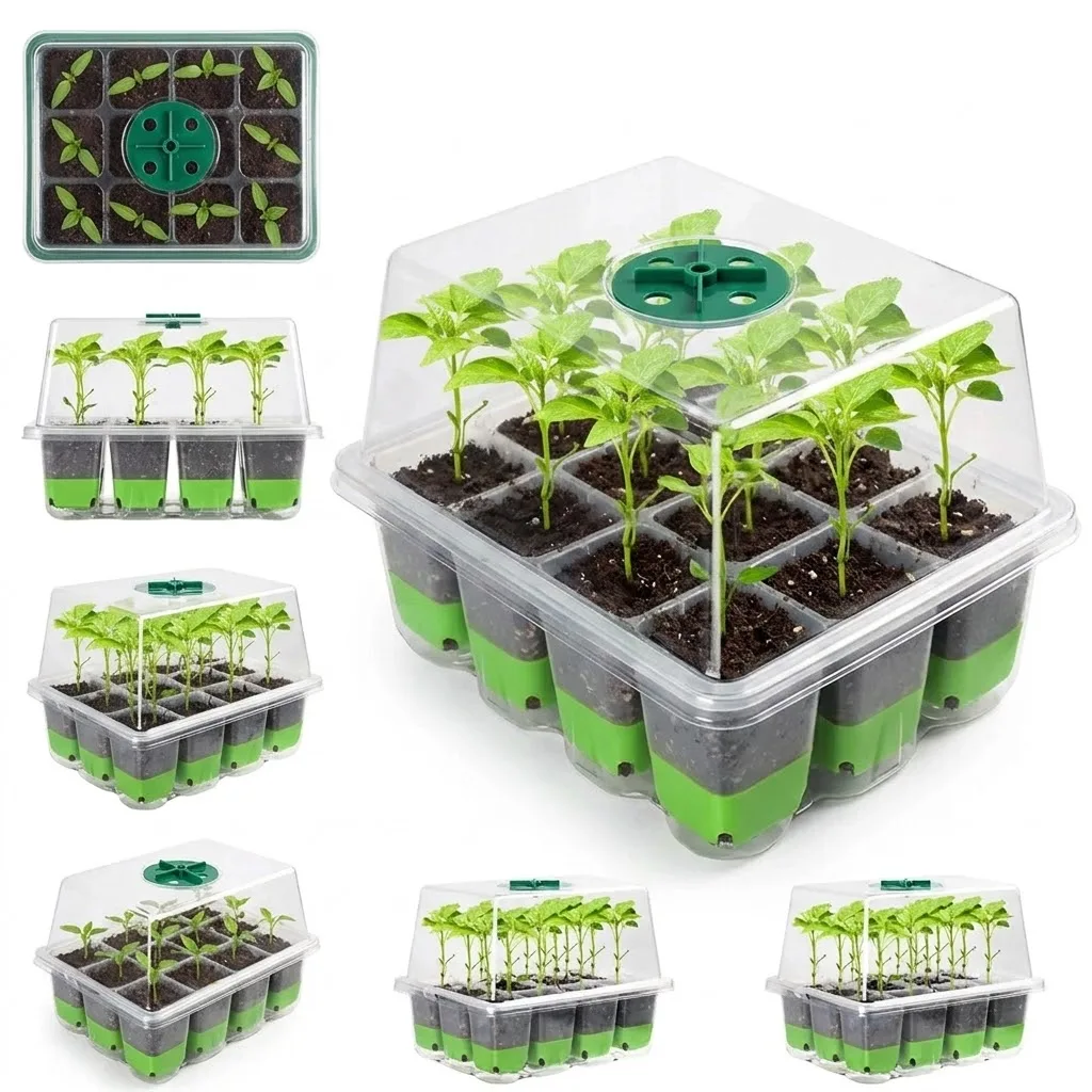 ถาดเพาะกล้า 12 ช่อง พร้อมฝาครอ - Seed Starter Tray บทวิจารณ์และราคา