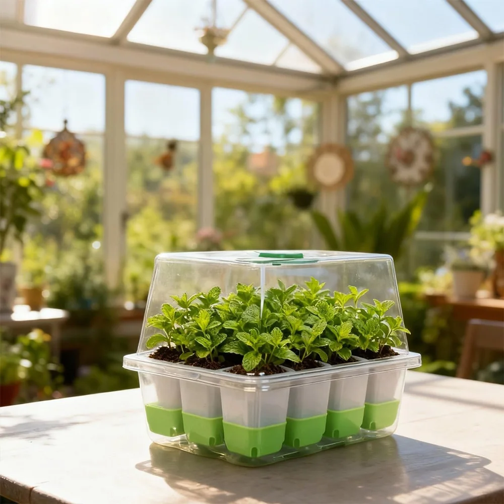 ถาดเพาะกล้า 12 ช่อง พร้อมฝาครอ - Seed Starter Tray บทวิจารณ์และราคา