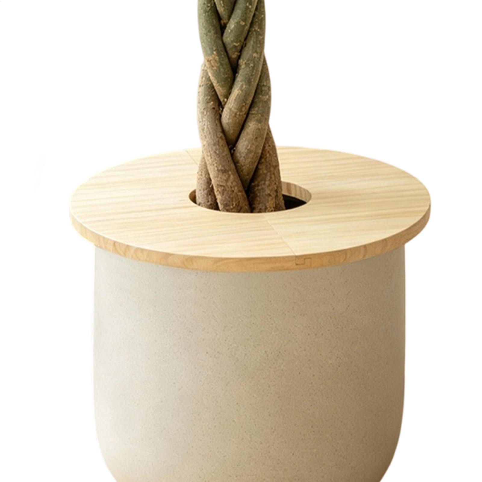 ฝาครอบกระถางดอกไม้ ตะแกรงไม้กั - Indoor Herb Garden บทวิจารณ์และราคา