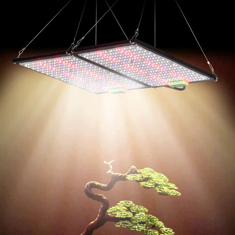 ไฟปลูกต้นไม้ LED แบบควอนตัมบอร - Grow Light Led บทวิจารณ์และราคา