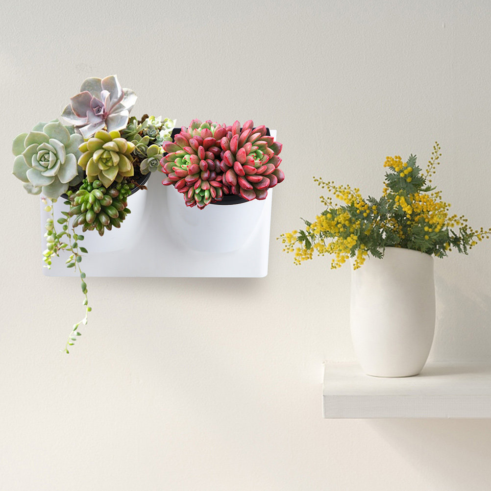 กระถางดอกไม้รดน้ำอัตโนมัติ ทำจ - Self Watering Planter บทวิจารณ์และราคา