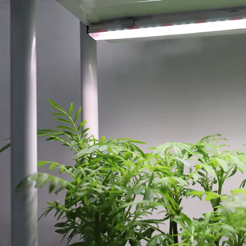 กล่องปลูกต้นไม้แบบเคลื่อนย้ายไ - Self Watering Planter บทวิจารณ์และราคา