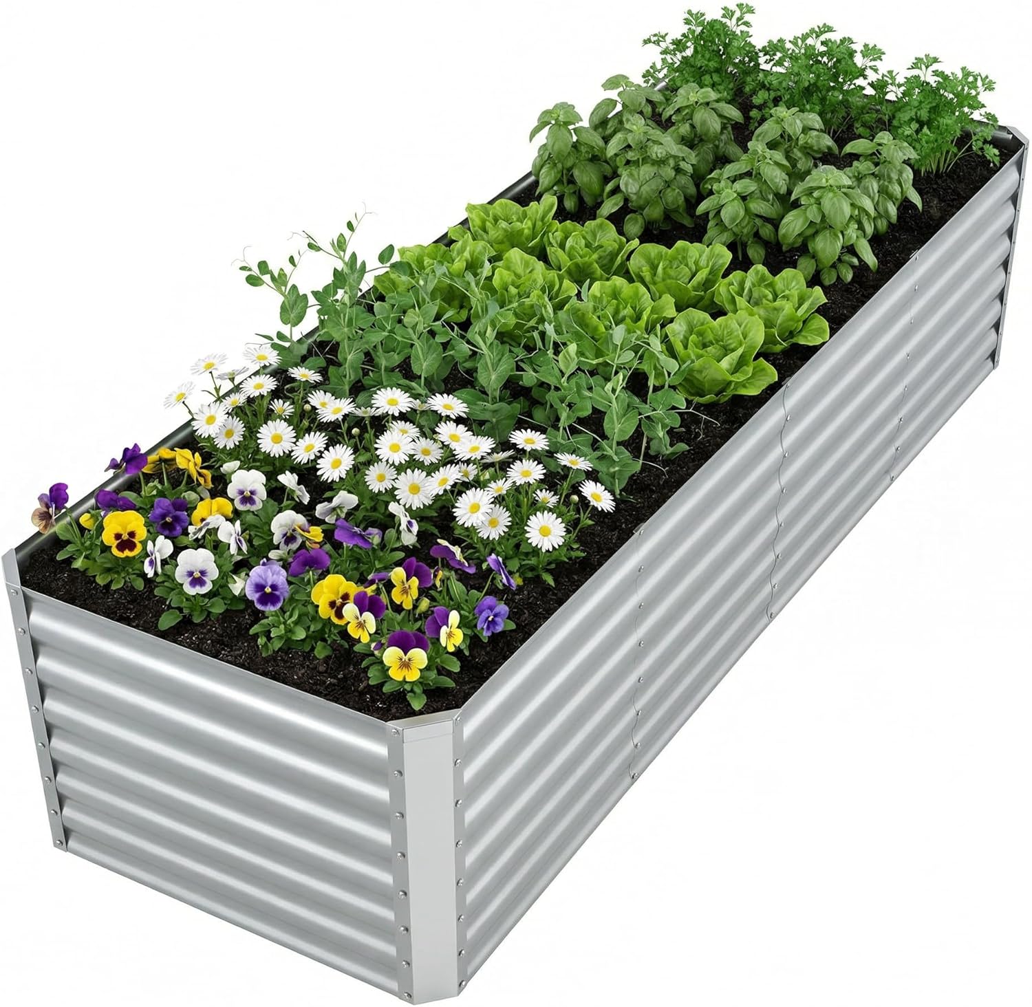 แปลงปลูกผักยกพื้นแบบชุบสังกะสี - Raised Garden Bed บทวิจารณ์และราคา