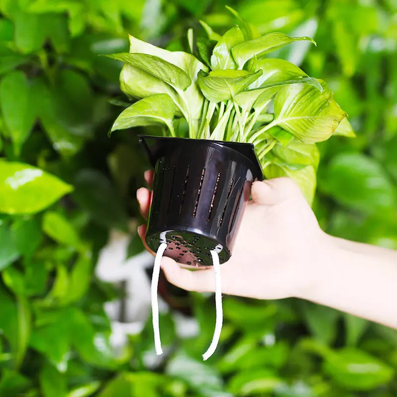 ชุดปลูกพืชไฮโดรโปนิกส์ในร่ม 2  - Hydroponic Kit บทวิจารณ์และราคา