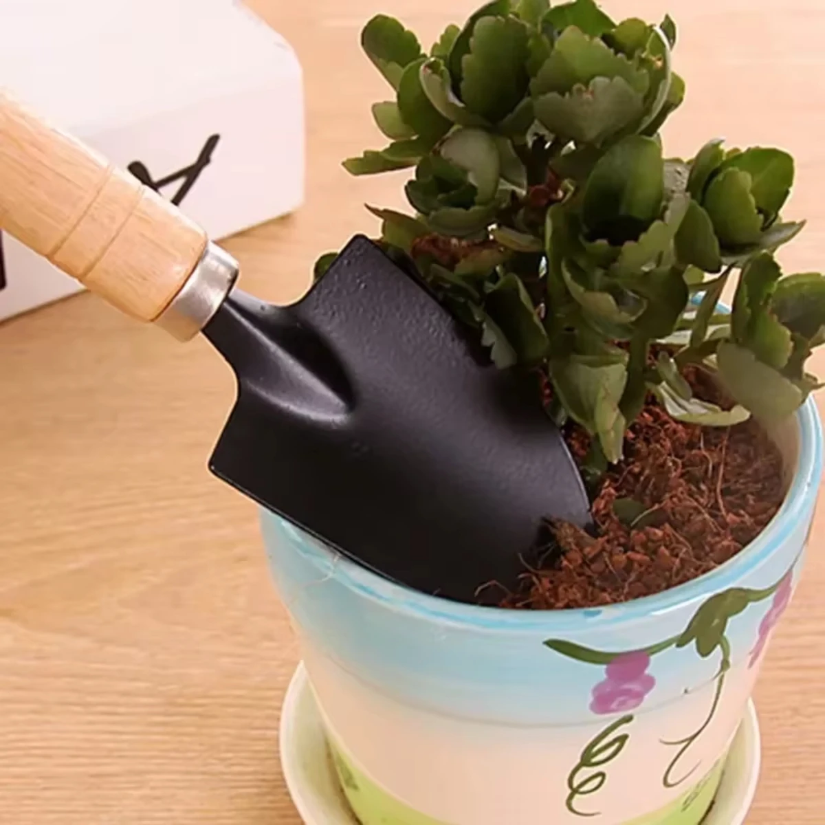 ชุดเครื่องมือทำสวนขนาดเล็ก 3 ช - Indoor Herb Garden บทวิจารณ์และราคา