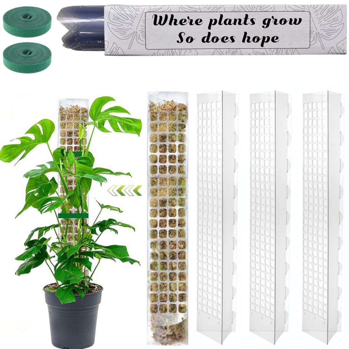 MOSS POLE พลาสติกยืนในร่มพืชปี - Indoor Herb Garden บทวิจารณ์และราคา