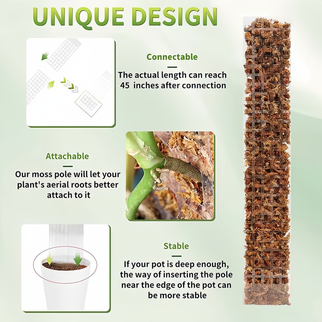 MOSS POLE พลาสติกยืนในร่มพืชปี - Indoor Herb Garden บทวิจารณ์และราคา