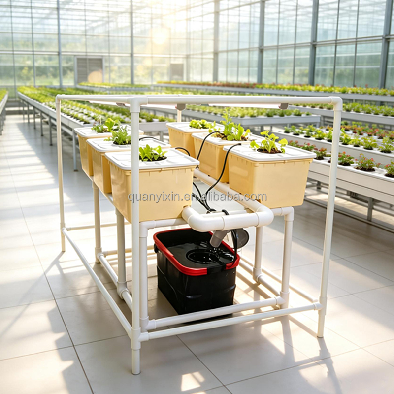 ชุดระบบปลูกพืชแบบไฮโดรโปนิกส์  - Hydroponic Kit บทวิจารณ์และราคา