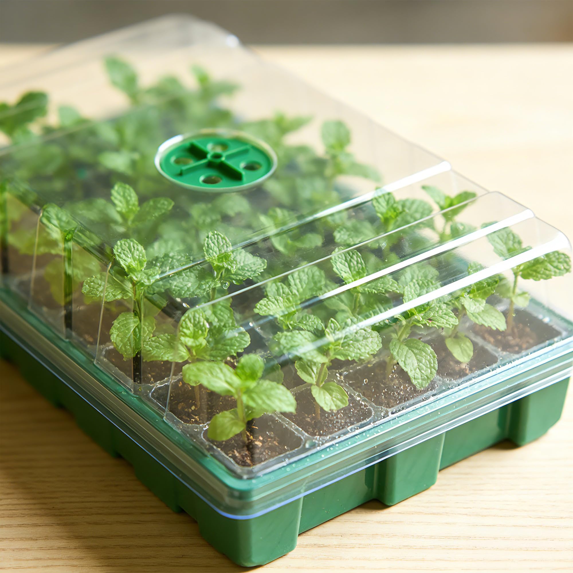 พร้อมเรือนกระจกแบบฝาใสและถาดเพ - Seed Starter Tray บทวิจารณ์และราคา