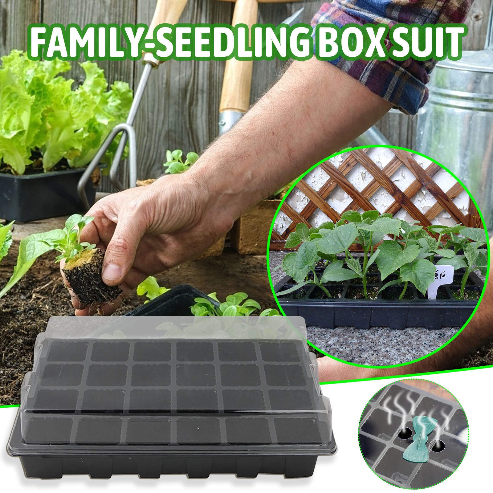 24 เซลล์ถาดต้นกล้าการงอกกล่อง  - Seed Starter Tray บทวิจารณ์และราคา