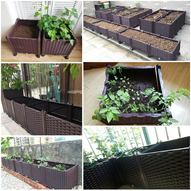 กระถางปลูกแบบยกสูงพร้อมระบบให้ - Indoor Herb Garden บทวิจารณ์และราคา