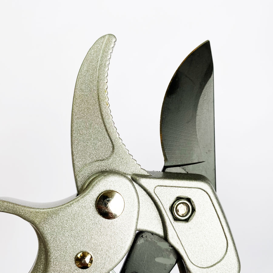 กรรไกรตัดแต่งกิ่งแบบมืออาชีพแล - Pruning Shears บทวิจารณ์และราคา
