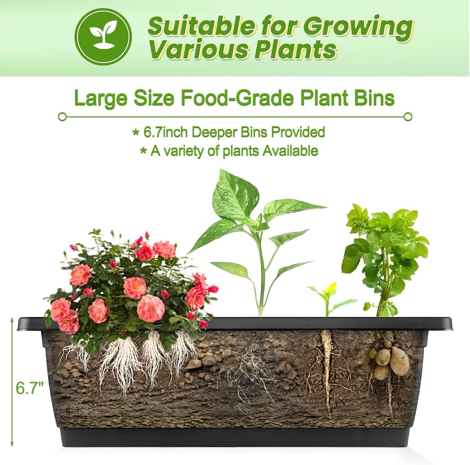 แปลงปลูกผักยกสูงแบบตั้งแนวตั้ง - Vertical Planter บทวิจารณ์และราคา