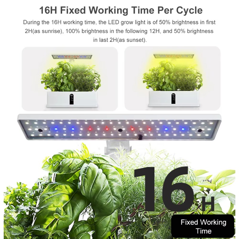 ระบบปลูกพืชไฮโดรโพนิกส์อัจฉริย - Grow Light Led บทวิจารณ์และราคา