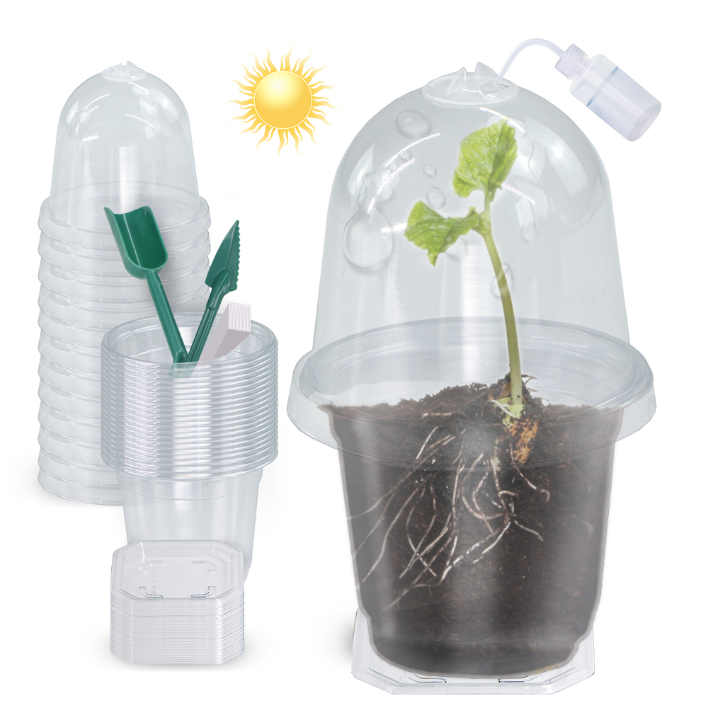 160x90CM Visible Clear Plants  - Seed Starter Tray บทวิจารณ์และราคา