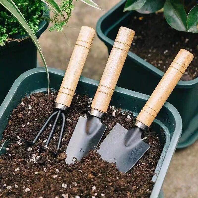 ชุดเครื่องมือทำสวนขนาดเล็ก 3 ช - Indoor Herb Garden บทวิจารณ์และราคา