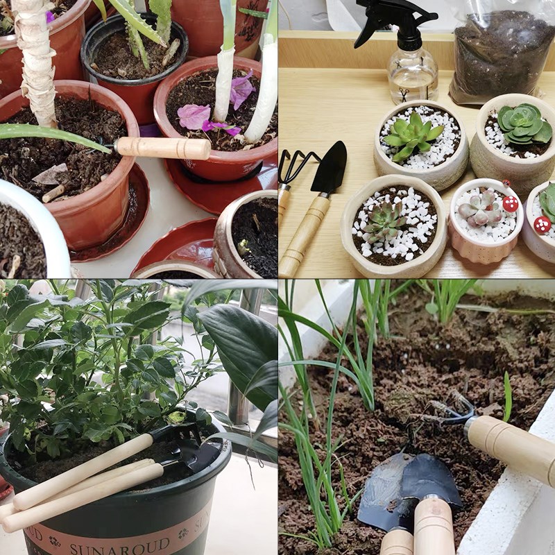 ชุดเครื่องมือทำสวนขนาดเล็ก 3 ช - Indoor Herb Garden บทวิจารณ์และราคา