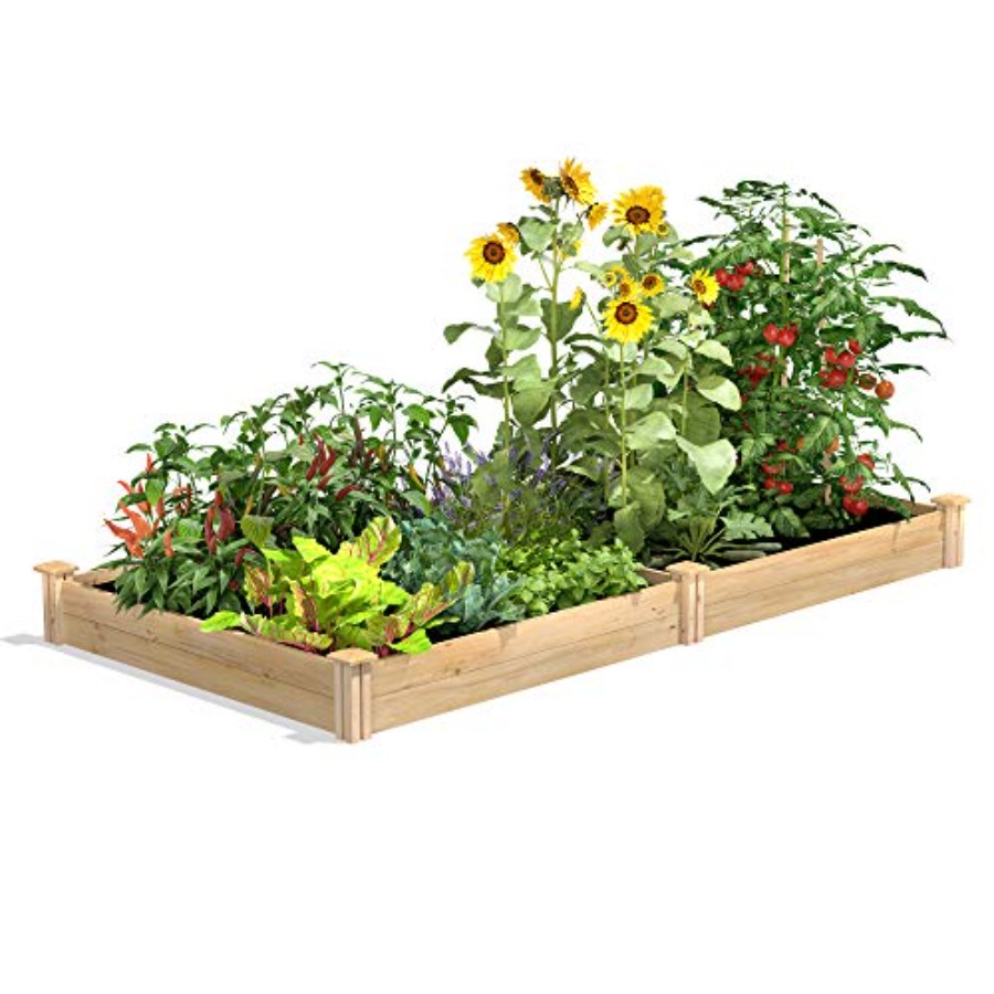 แปลงปลูกผักแบบยกสูงสำหรับใช้ภา - Raised Garden Bed บทวิจารณ์และราคา