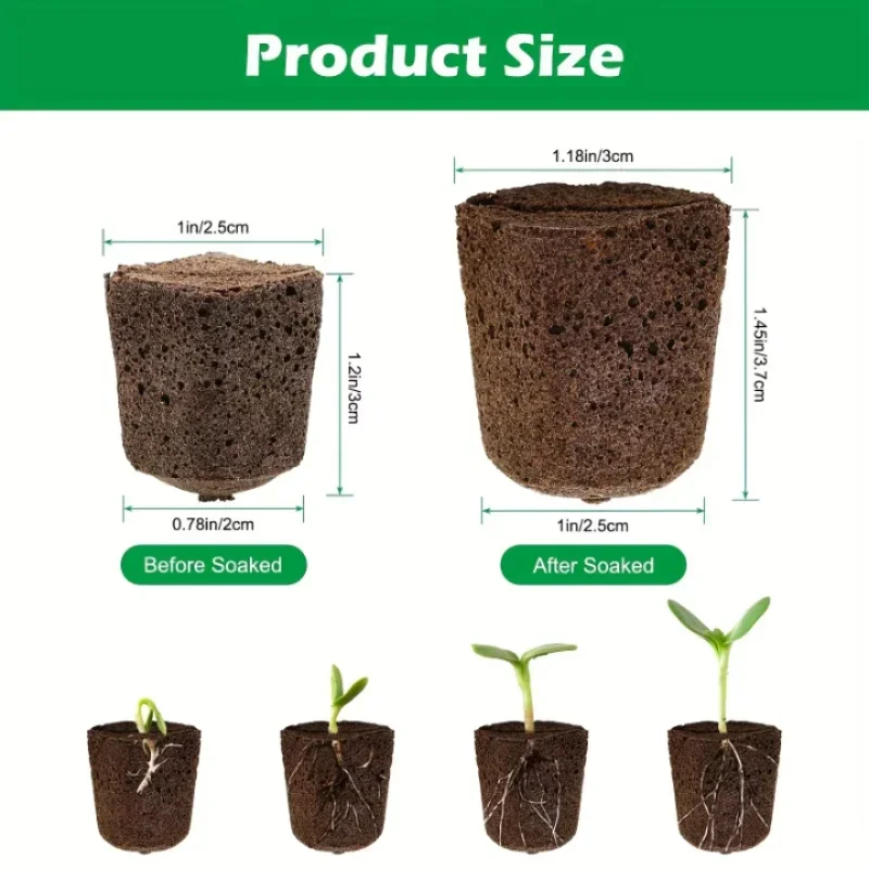 ชุดฟองน้ำเริ่มต้นการเพาะเมล็ดส - Hydroponic Kit บทวิจารณ์และราคา