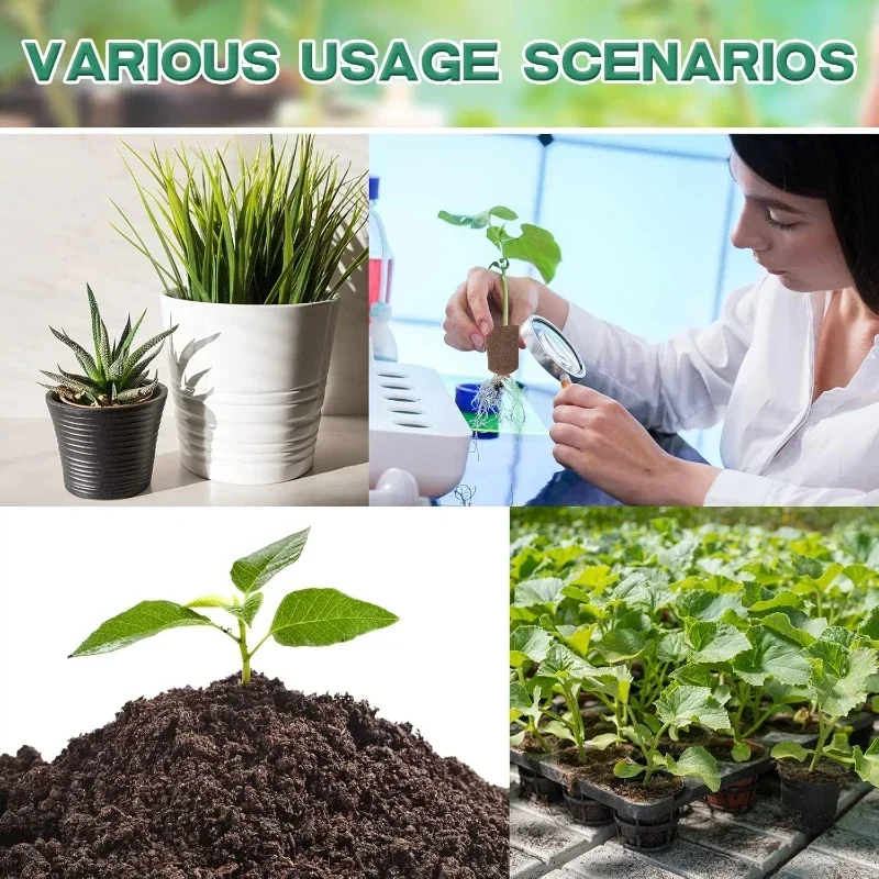 ชุดฟองน้ำเริ่มต้นการเพาะเมล็ดส - Hydroponic Kit บทวิจารณ์และราคา