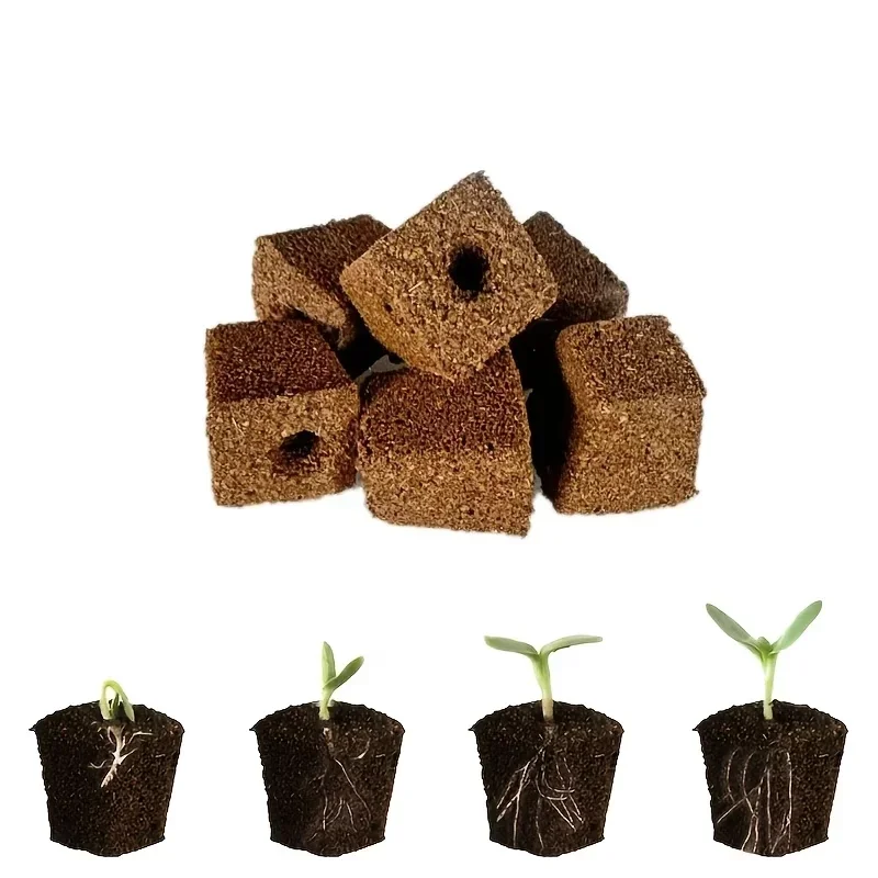 ชุดฟองน้ำเริ่มต้นการเพาะเมล็ดส - Hydroponic Kit บทวิจารณ์และราคา