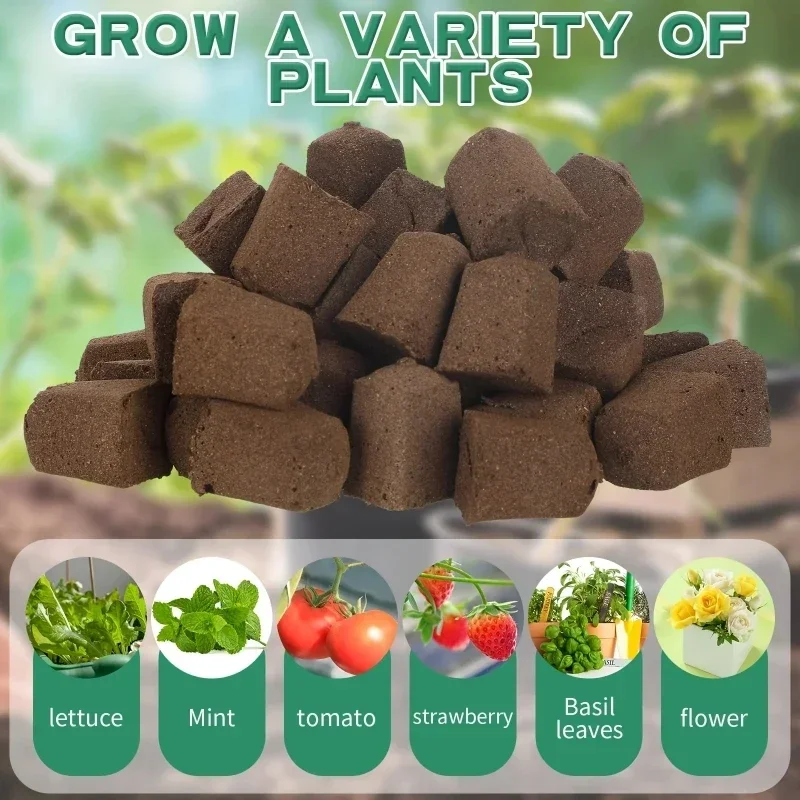 ชุดฟองน้ำเริ่มต้นการเพาะเมล็ดส - Hydroponic Kit บทวิจารณ์และราคา