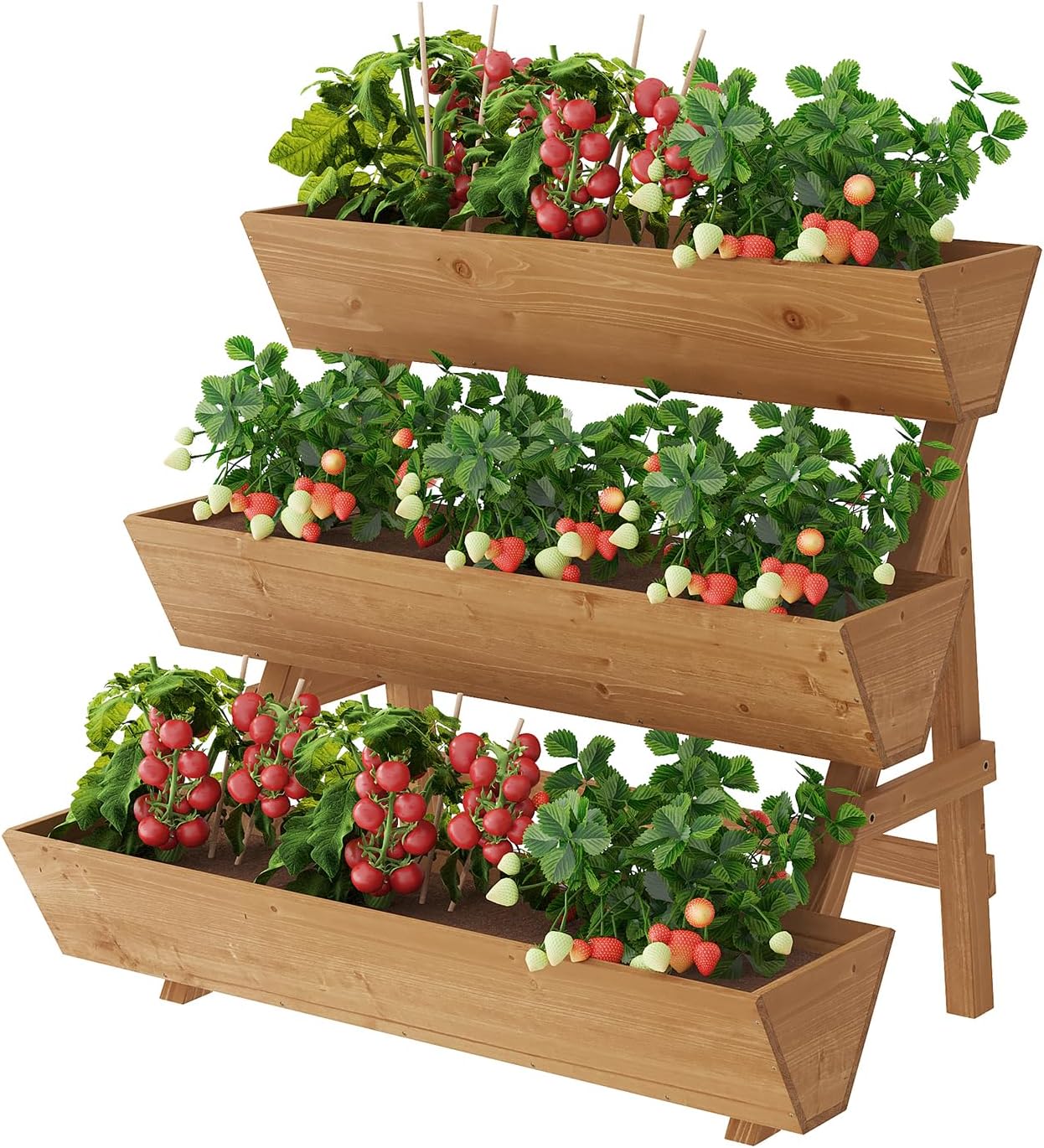 สวนในลานบ้านและระเบียง, ไม้, ส - Raised Garden Bed บทวิจารณ์และราคา
