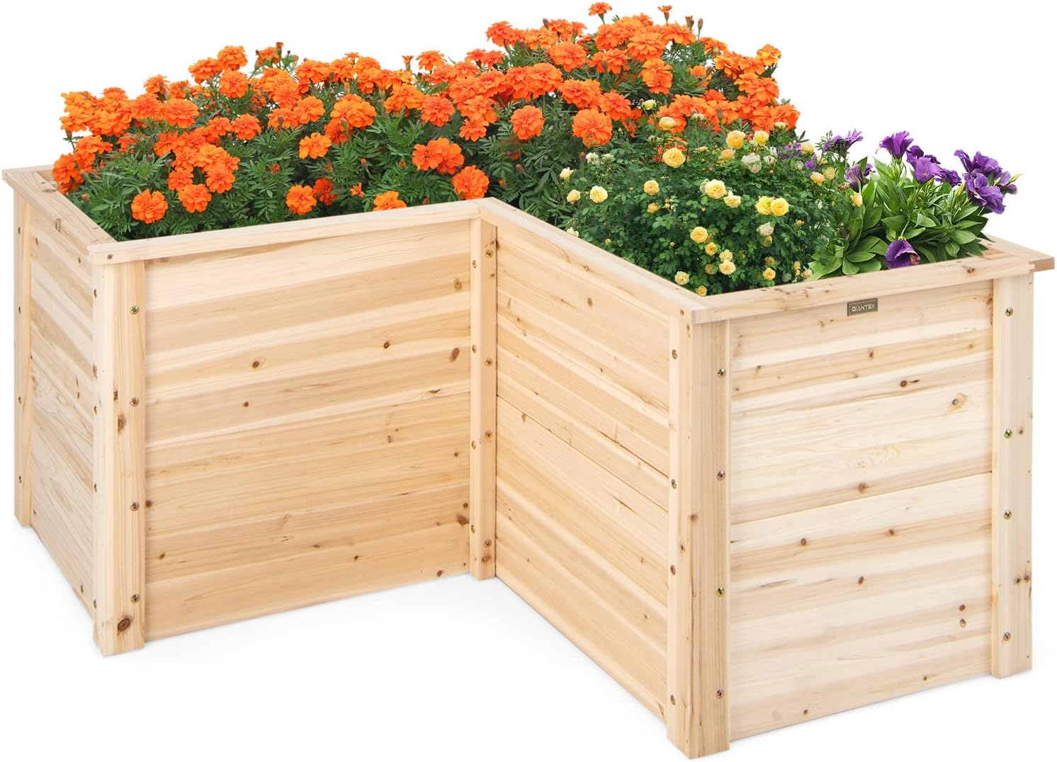 แปลงปลูกผักยกพื้นไม้เนื้อแข็งส - Raised Garden Bed บทวิจารณ์และราคา