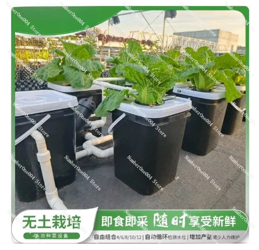 ชุดปลูกพืชไฮโดรโปนิกส์แบบระเบี - Hydroponic Kit บทวิจารณ์และราคา