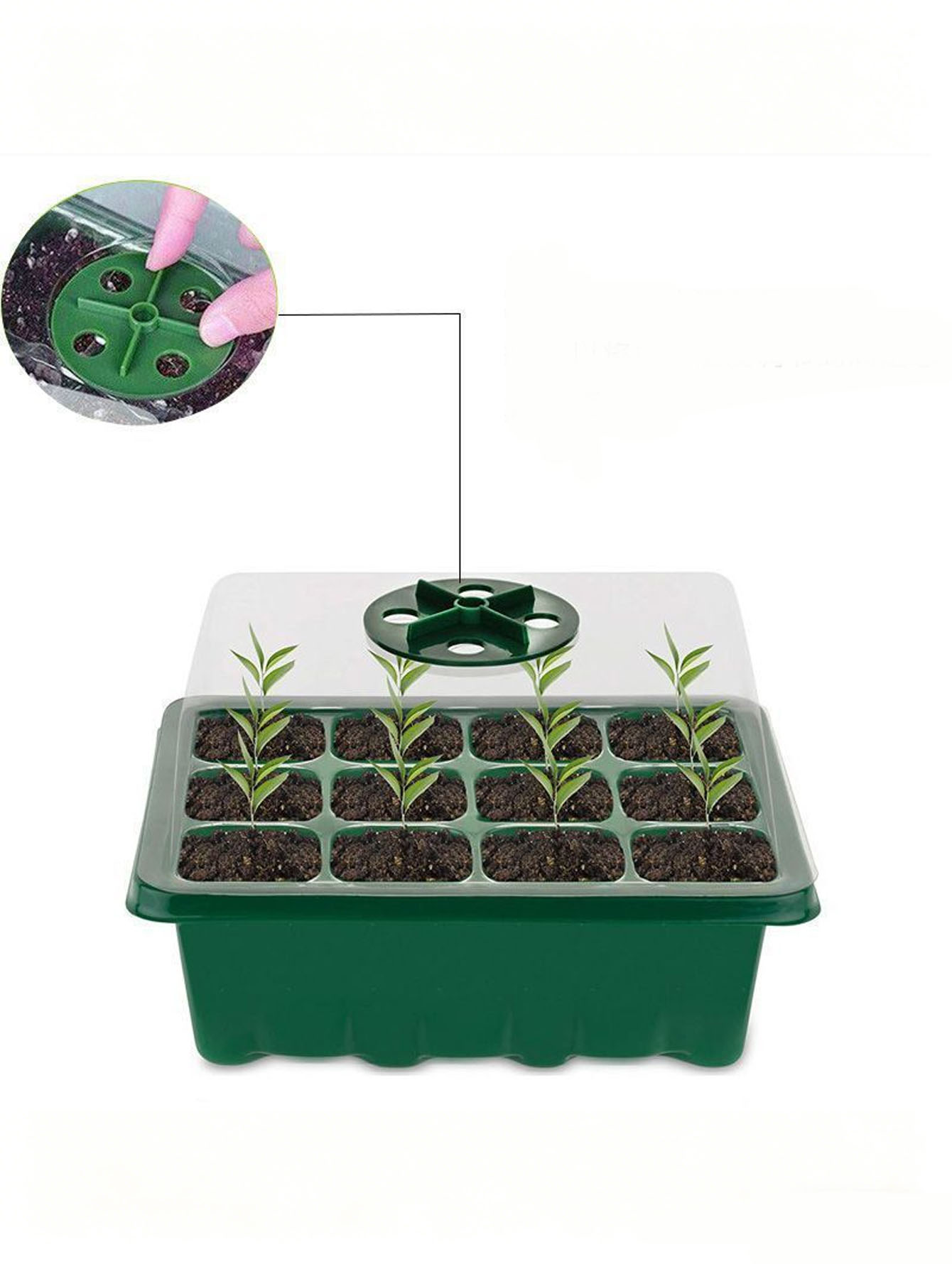 ถาดเพาะกล้า 1/2 ชิ้น 6/12 หลุม - Seed Starter Tray บทวิจารณ์และราคา