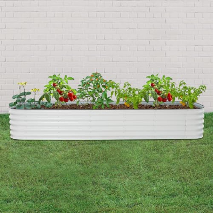 ชุดแปลงปลูกแบบยกสูงสำหรับปลูกผ - Raised Garden Bed บทวิจารณ์และราคา