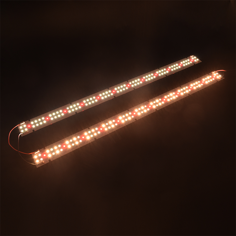 ไฟปลูกพืชแบบ COB LED คุณภาพสูง - Grow Light Led บทวิจารณ์และราคา