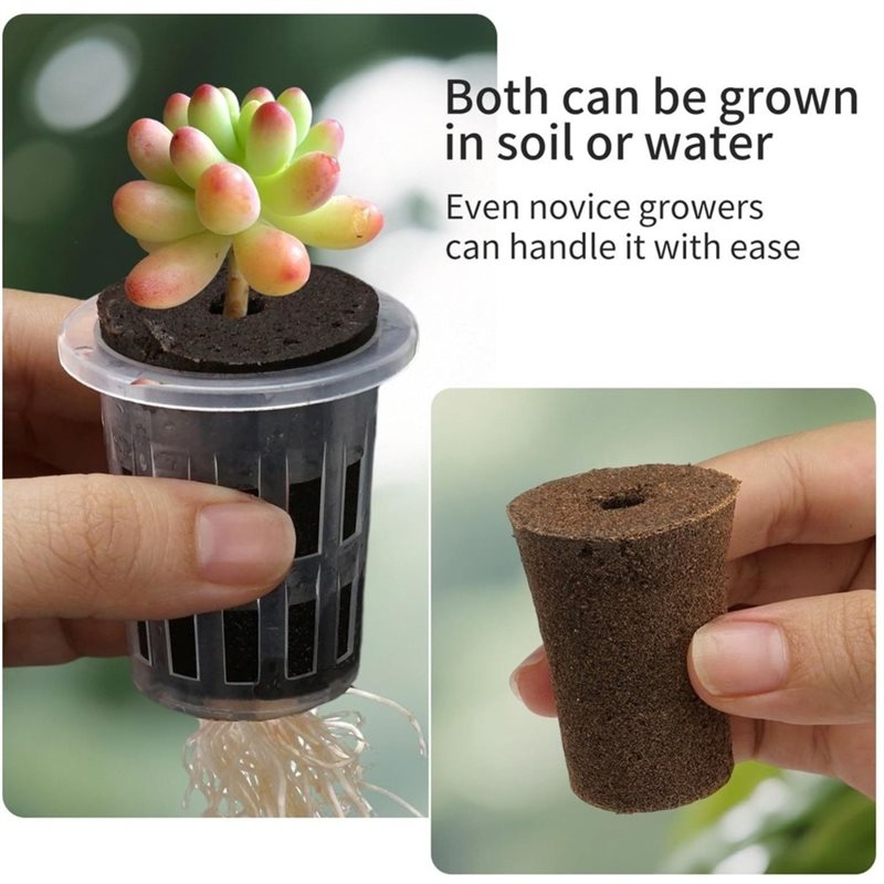 [ABFI!】 ชุดระบบปลูกพืชไฮโดรโปน - Hydroponic Kit บทวิจารณ์และราคา
