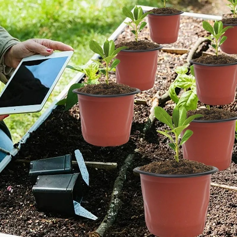 กระถางเพาะชำ 100/20x สีดำแดง ก - Seed Starter Tray บทวิจารณ์และราคา