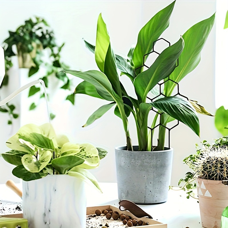 โครงตาข่ายปลูกต้นไม้ลายรังผึ้ง - Indoor Herb Garden บทวิจารณ์และราคา