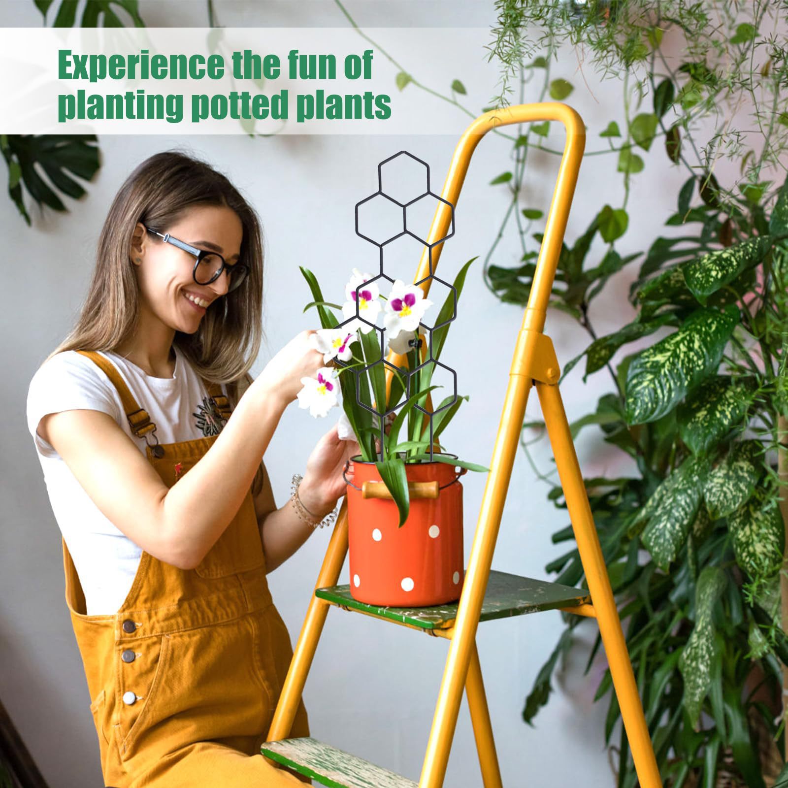 โครงตาข่ายปลูกต้นไม้ลายรังผึ้ง - Indoor Herb Garden บทวิจารณ์และราคา