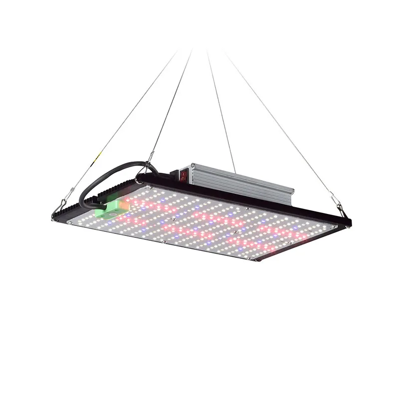 ไฟปลูกต้นไม้ LED แบบควอนตัมบอร - Grow Light Led บทวิจารณ์และราคา