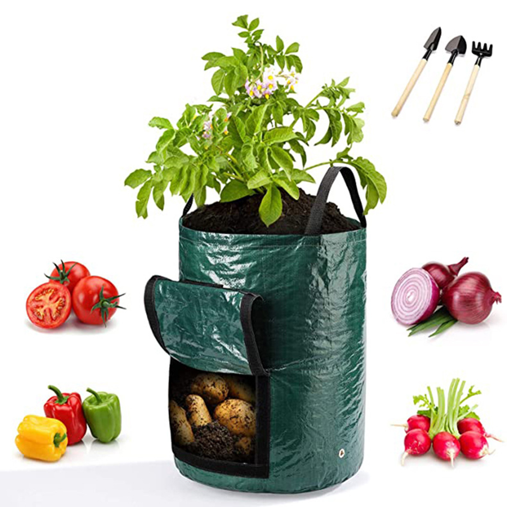 ถุงปลูกต้นไม้ขนาด 10 แกลลอน 1  - Grow Bag บทวิจารณ์และราคา